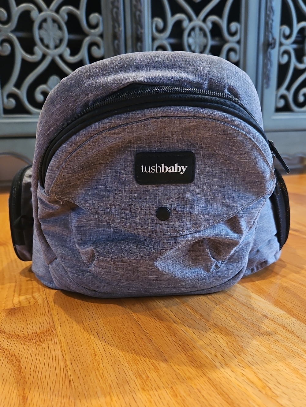 Tushbaby Hip Carrier